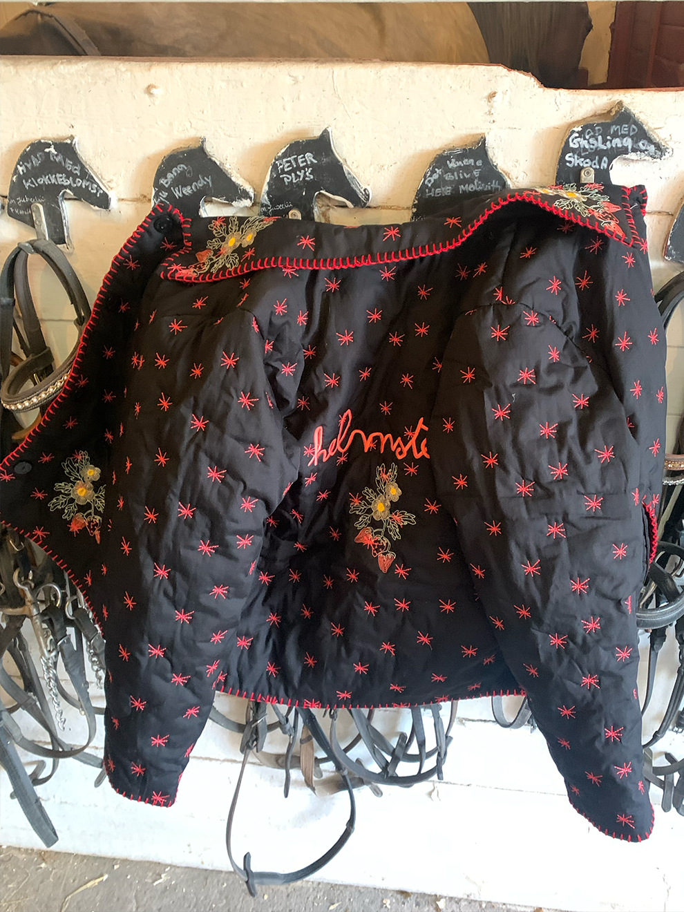 Helmstedt AVA JACKET  Black Beauty